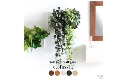 Botanical c.class 12 ダークブラウン愛知県名古屋市66000衣類・装飾品・工芸品その他 装飾品・工芸品