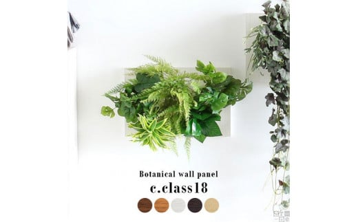 Botanical c.class 18 ブラウン愛知県名古屋市48000衣類・装飾品・工芸品その他 装飾品・工芸品