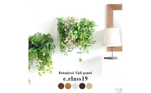 Botanical c.class 19 ブラウン愛知県名古屋市63000衣類・装飾品・工芸品その他 装飾品・工芸品