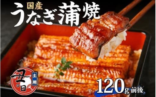 名古屋 うなぎのしら河 国産 鰻 蒲焼き 120g前後×1尾 タレ 山椒付 うなぎ ウナギ かばやき 鰻丼 うな重 鰻重  お中元 お歳暮 ギフト  愛知県 名古屋市愛知県名古屋市13000魚介・海産物うなぎ