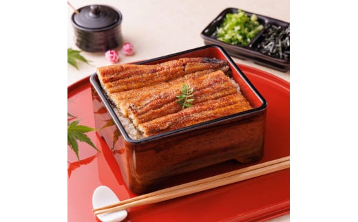 三河一色産手焼き炭火焼き活うなぎ蒲焼き 2尾セット愛知県名古屋市37000魚介・海産物うなぎ
