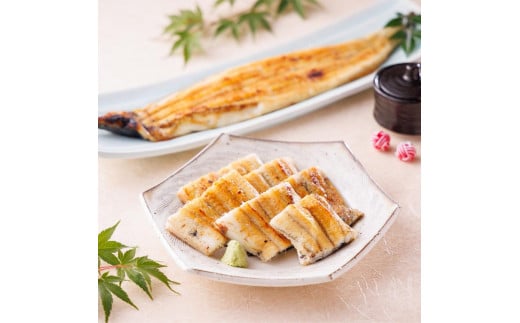三河一色産手焼き炭火焼き活うなぎ白焼き 3尾セット愛知県名古屋市47000魚介・海産物うなぎ