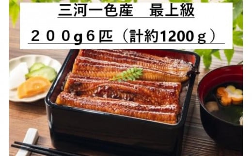 〈三河一色産うなぎ〉超特上6匹(計1200g)老舗 和食 魚兼 国産 高級愛知県名古屋市87000魚介・海産物うなぎ
