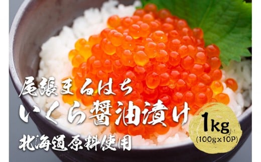 いくら 醤油漬け 1kg (100g×10P) 北海道 秋鮭卵 冷凍 尾張まるはち愛知県名古屋市44000魚介・海産物いくら