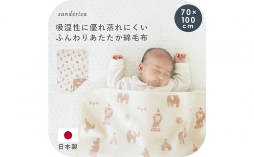 ※終売※2510-9999-31■綿毛布ケット フェスタ愛知県名古屋市15000雑貨・日用品寝具・タオル