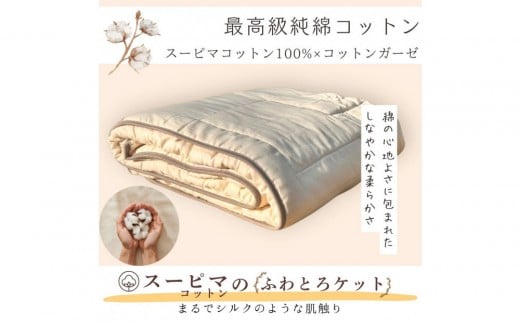 最高級純コットン スーピマコットンのふわとろケット 0.5kg愛知県名古屋市39000雑貨・日用品寝具・タオル