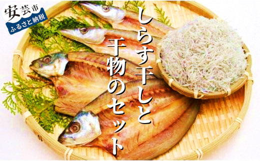 田渕水産のしらす干し、干物セット しらす干し 600g 青あじのひらき 2袋 カマスのひらき 2袋 ちりめんじゃこ 干物 天日干し うす塩 ふわふわ食感 おかず 晩酌 セット 高知県 安芸市 高知県 魚