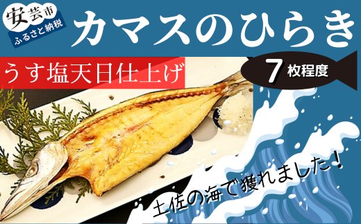 カマス ひらき 田渕水産  干物 一夜干し 白身魚 天日干し うす味 新鮮 上品 さわやか 淡白 魚介類 おつまみ 酒の肴 おかず 惣菜 7枚 安芸市 高知県高知県安芸市13000魚介・海産物干物