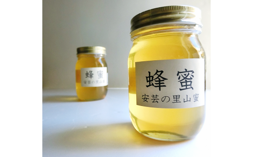 はちみつ 国産 安芸の里山蜜 500g×2本セット 天然 純粋 百花蜜 無添加 非加熱 生 ギフト プレゼント 贈り物 お歳暮 お中元 健康 美容 レシピ 料理 紅茶 ヨーグルト パン ドレッシング 安芸市
