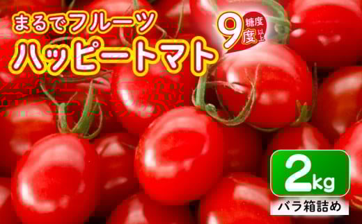 【先行予約】ハッピートマト2s高知県安芸市16000野菜・きのこトマト