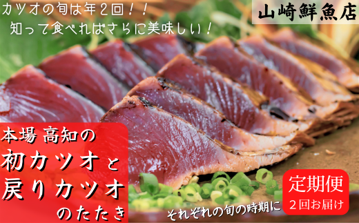 本場 高知の初カツオと戻りカツオのたたき定期便 4節セット×2回 カツオのたたき わら焼き 藁焼き 山崎鮮魚店 三代目 真空パック 冷凍便 初カツオ 戻りカツオ 4〜5月 9〜12月 4節 1000〜1200g 2回