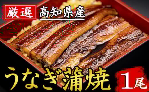 厳選 高知県産うなぎ 1尾 うなぎ蒲焼き 国産 ウナギ 鰻 土用の丑の日 老舗 特製タレ ふっくら 柔らか 香ばしい 贈り物 ギフト 冷凍 解凍 レンジ調理 簡単 お取り寄せ グルメ 高級 職人 手焼き