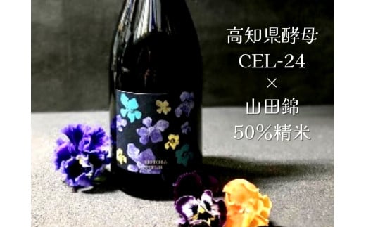 日本酒 純米大吟醸 08-27 【高知県産酵母使用】安芸虎 CEL-24 純米大吟醸 720ml 土佐酒 高知県 地酒 フルーティー 甘口 華やか 香り 有光酒造場 阿波山田錦 50%精米 父の日 誕生日 敬老の日 バレン