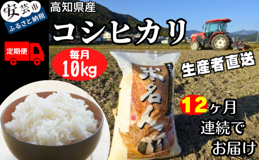 《令和7年産》12ヵ月連続でお届け!!新嘗祭皇室献上農家が作った高知県産「コシヒカリ(白米)」定期便 10kg×12回 こめ コメ おこめ 精米 お米 ごはん おコメ 新米 先行受付 香り 甘み 新鮮 1粒1