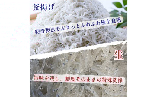 炷 炷 g炷 hhh 44-09 R! EhhhZbg g炷 70g×3pbN 炷 70g×3pbN m  ՂՂ uԓ gNx p
