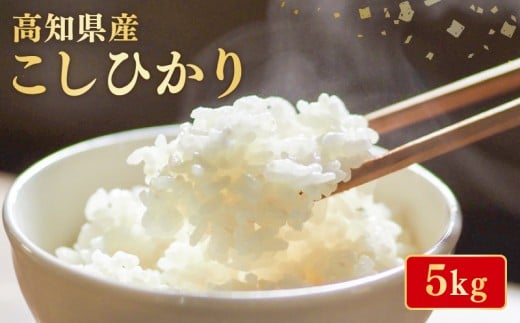 令和7年産 米 こしひかり 5kg お米 白米 精米 新米 コシヒカリ ごはん ご飯 高知県産 弁当 おにぎり 料理 高知県安芸市 早場米 甘み 粘り 人気 日本 全国 温暖 気候 美味しい 収穫 栽培 消費地