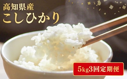 【令和7年産】 米 こしひかり 5kg 定期便 3ヶ月 計 15kg お米 白米 精米 新米 コシヒカリ ごはん ご飯 高知県産 弁当 おにぎり 料理 超早場米 粘り 甘み 人気 ブランド米 食味 食べ比べ 美味しい