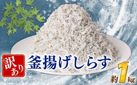 訳あり 釜揚げしらす 約1kg 冷凍 惣菜 弁当 晩ごはん 白州 白子 魚介類 海鮮 わけあり 小魚 魚 鮮魚 グルメ 人気 海の幸 ふりかけ ちりめん しらすご飯 国産 じゃこ しらす丼 塩分控えめ 減塩