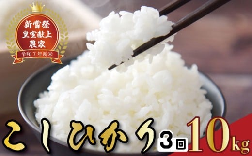 令和7年産 コシヒカリ 白米 3ヵ月連続 定期便 10kg × 3回 30kg お米 精米 新米 ごはん ご飯 高知県産 弁当 おにぎり 料理 新嘗祭皇室献上米 R7年 農家直送 美味しい 美食 贈り物 ギフト 食卓 和食