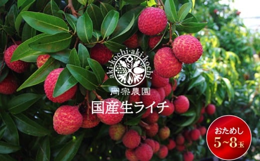 ystJnIߘa8NYz C` 5 ` 8  C` t[c ʕ  Gߌ Ԍ ʌ {  Y  Mtg 蕨 v[g fU[g XC[c A