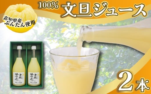 文旦 フレッシュ ジュース 2本セット 果汁 100% ぶんたん 土佐文旦 高知県 柑橘 みかん 国産 ストレート ギフト 贈答用 720ml 2本 高知特産 フルーツジュース 濃厚 香り 甘味 苦み 農家直送 瓶