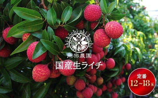 【先行受付開始!令和8年産】 生ライチ 12個 〜18個 定番 フルーツ 果物 くだもの 季節限定 期間限定 数量限定 旬 限定 国産 贈答 ギフト 贈り物 プレゼント デザート スイーツ アレンジ メリ