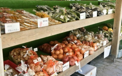 ̓YiI {̔_YHZbg Icē   ₳ ؃Zbglߍ킹   Mtg  v[g bߎs / Ȃ̂قs₳̉ [AUCB001]򕌌b