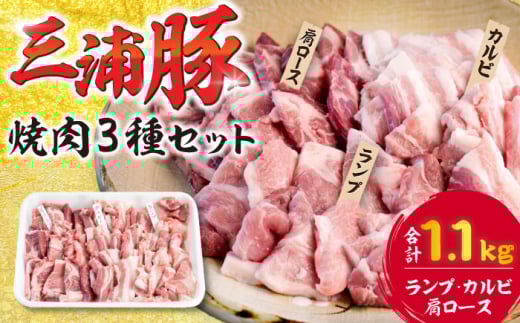 豪華三浦豚 1.1kg 焼肉セット 肩ロース カルビ ランプ ブランド豚 国産 ポーク 大容量 ブランド豚 国産 ポーク 生姜焼き 恵那市 にく 肉 お肉 豚肉 ぶたにく 国産 ポーク 大容量 焼き肉 焼肉 バ