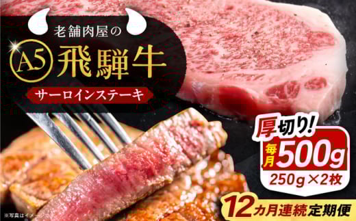 【12回定期便】 牛肉 飛騨牛 サーロインステーキ (A5ランク) 1パック (250g×2枚) / 和牛 国産 霜降り 肉 にく 牛肉 国産 和牛 高級肉 霜降り 産地直送 贈答用 ギフト ブランド牛 岐阜県 希少部位