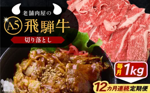 【12回定期便】 牛肉 飛騨牛 切り落とし肉 A5ランク 500g×2パック (1kg) 和牛 国産 霜降り 肉 にく 牛肉 国産 和牛 高級肉 産地直送 贈答用 ギフト ブランド牛 岐阜県 希少部位 岐阜県産 人気 お
