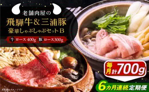【6回定期便】 牛肉 飛騨牛ロース400g 三浦豚ロース300g 豪華しゃぶしゃぶセットB 各種類1パック 和牛 国産 霜降り 肉 にく 牛肉 国産 和牛 高級肉 産地直送 贈答用 ギフト ブランド牛 岐阜県