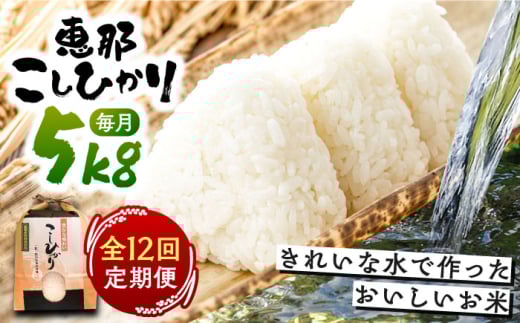 【12回定期便】 こしひかり 白米 5kg×12ヵ月 恵那 / 米 こめ コメ 白米 精米 こしひかり コシヒカリ おこめ お米 産地直送  おすすめ 人気 恵那市産 ブランド米 おにぎり お弁当 炊き込みご飯 /