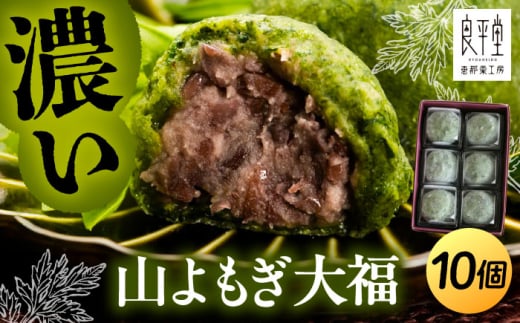 VRgp 啟10 /  M 啟 ӂ ܂񂶂イ aَq  M  aَq XC[c fU[g  َq Mtg  v[g 