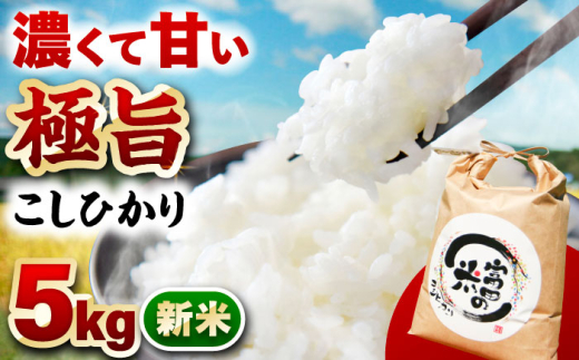 【1月発送】【R7年新米】恵那岩村とみだコシヒカリ精米5kg / こめ コメ 米 おコメ お米 おこめ 精米 せいまい コシヒカリ こしひかり 新米 しんまい 5kg 岐阜県産 恵那市産 おすすめ 人気 産地