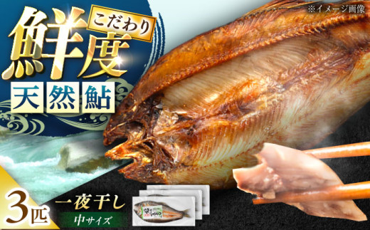 VR̈銱  3CZbg /  VR   銱  ۑ Mtg  v[g   O Ă  / bߎs / bߕY [AUFS001]򕌌bߎs12000E