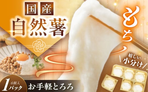 自然薯冷凍とろろ(1パック)180g / 自然 薯 冷凍 とろろ 保存 簡単 美味しい 健康 レシピ 栄養 効果アレンジ お取り寄せ 自然薯 とろろ 山芋 やまいも 冷凍 小分け ごはん ご飯 / 恵那市 / 水戸