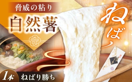 【伊勢神宮外宮奉納】 自然薯『ねばり勝ち』 1本入 / 自然薯 じねんじょ とろろ 山芋 やまいも 簡単 美味しい 健康 レシピ 栄養 効果アレンジ お取り寄せ 自然薯 とろろ 山芋 やまいも ギフ