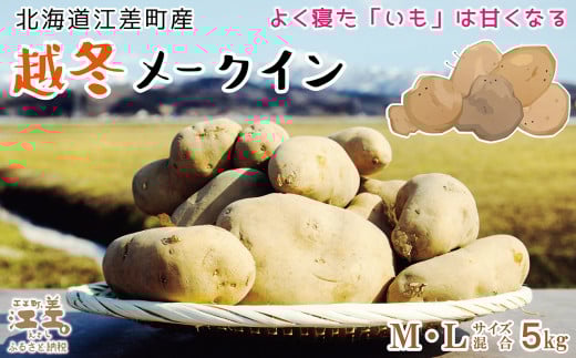【早期予約 2026年2月より順次出荷】北海道産 越冬メークイン M・L混合 5kg 低温熟成 糖度アップ 訳あり 農家直送 越冬じゃがいも 越冬いも よく寝たいも 甘い 芋の塩煮にぴった