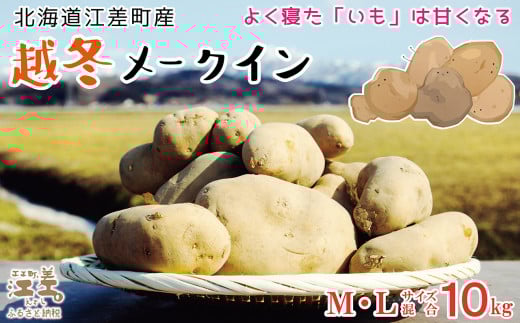 【早期予約 2026年2月より順次出荷】北海道産 越冬メークイン M・L混合 10kg 低温熟成 糖度アップ 訳あり 農家直送 越冬じゃがいも 越冬いも よく寝たいも 甘い 芋の塩煮にぴった