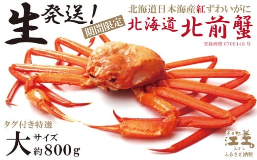 _\E2026N3`4oׁ^IyzwkCkOIx^OtI 800gi①j@NɂЂƌ̊Ԍuvoׁ@kC{CYg킢Ɂ@Jjt