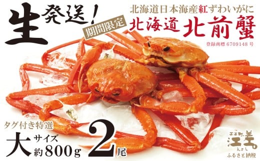 \早期予約・2026年3〜4月限定出荷/生発送!【大2尾】『北海道北前蟹』タグ付き特選 約800g×2尾(冷蔵) 年にひと月だけの期間限定「生」出荷 北海道日本海産紅ずわいがに カニかご漁