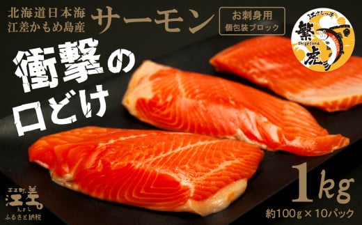 \配送時期指定可/北海道産 サーモン お刺身用ブロック 1kg(100g×10P) 日本海 かもめ島海面養殖 純国産 ブランドサーモン『江さしっ子 繁虎』 衝撃の口どけ とろける脂 生食可 冷