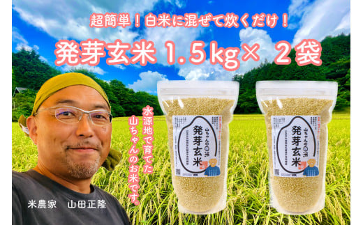 【10月1日発送開始】農家直送『山ちゃんの発芽玄米』1500g×2袋 (16)岐阜県八百津町17000米・パン玄米・雑穀米・もち米・餅