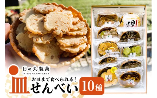 お皿まで食べられる!八百津せんべい「皿せんべい」詰合せ 10種セット 煎餅 おやつ お菓子 (381)岐阜県八百津町8000菓子・スイーツ煎餅・おかき