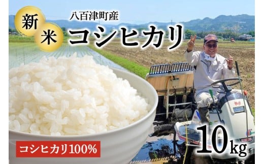 令和7年度米 新米!【3営業日以内に発送】地元でも美味しいと評判!八百津町小川さんのコシヒカリ10Kg すぐ 発送 すぐに お届け 農家 さん 直送(476)岐阜県八百津町27000米・パン白米
