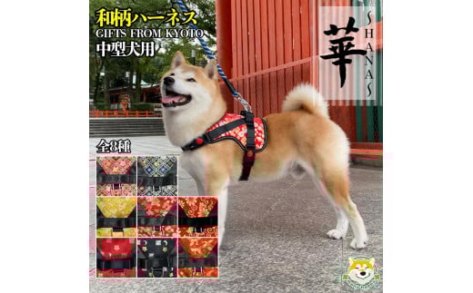 【 京都西陣金襴織 】中型犬ハーネス 華(松皮菱 赤)【柴犬コウタのハッピィショップ】京都府京都市20000衣類・装飾品・工芸品その他 装飾品・工芸品