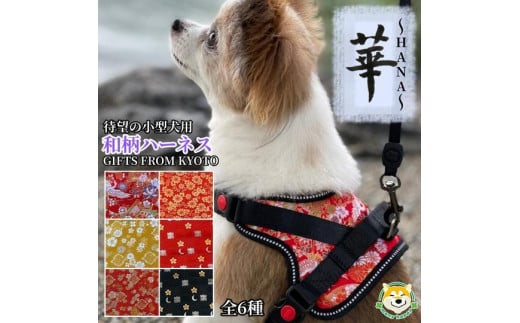 【 京都西陣金襴織 】小型犬ハーネス 華(寿)【柴犬コウタのハッピィショップ】京都府京都市15000衣類・装飾品・工芸品その他 装飾品・工芸品