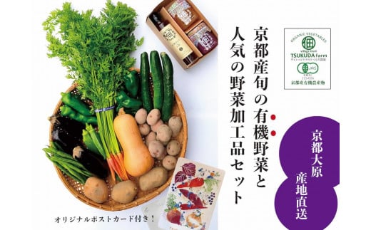 y_zs匴̗RI{̗L@BOXƃWZbgs{ss27000؁Ê̑ 