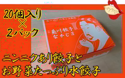 【夷川餃子なかじま】京都特産ぽーく「ニンニクあり餃子とお野菜たっぷり水餃子」のセット京都府京都市7000鍋セット・総菜・加工食品総菜