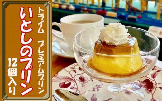 ygCzv~AviƂ̃vj12m s XC[c 5   Y lC   ʔ  ӂ邳Ɣ[ ns{ss21000َqEXC[